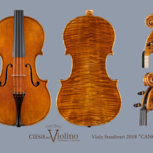 Viole