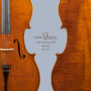 Cello Love