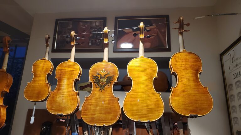 Scopri di più sull'articolo Differenze tra violino e viola