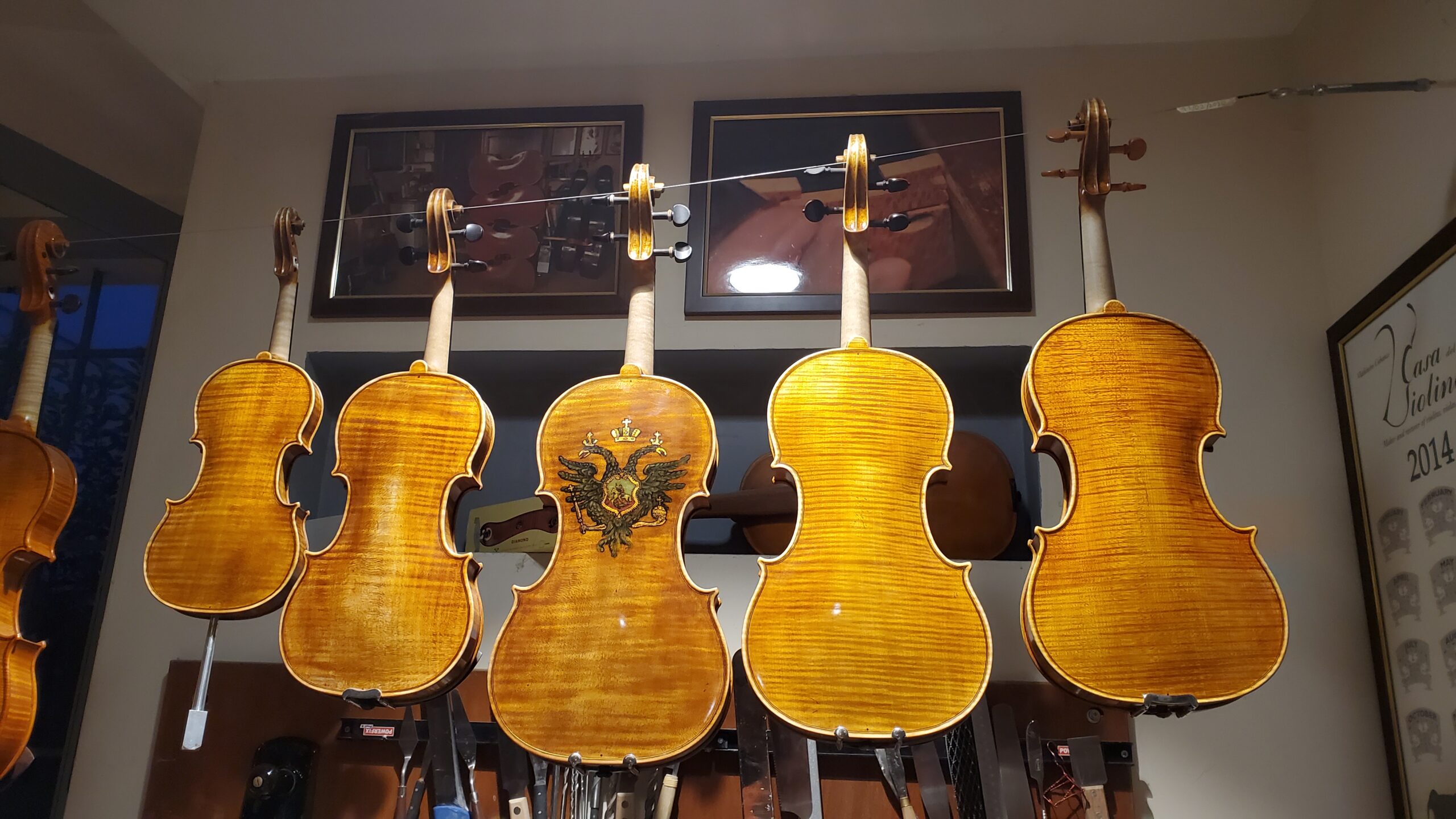Scopri di più sull'articolo Differenze tra violino e viola