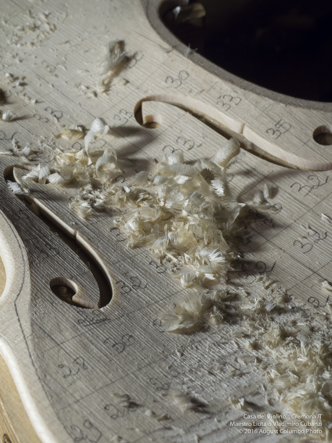 Scopri di più sull'articolo Il violino