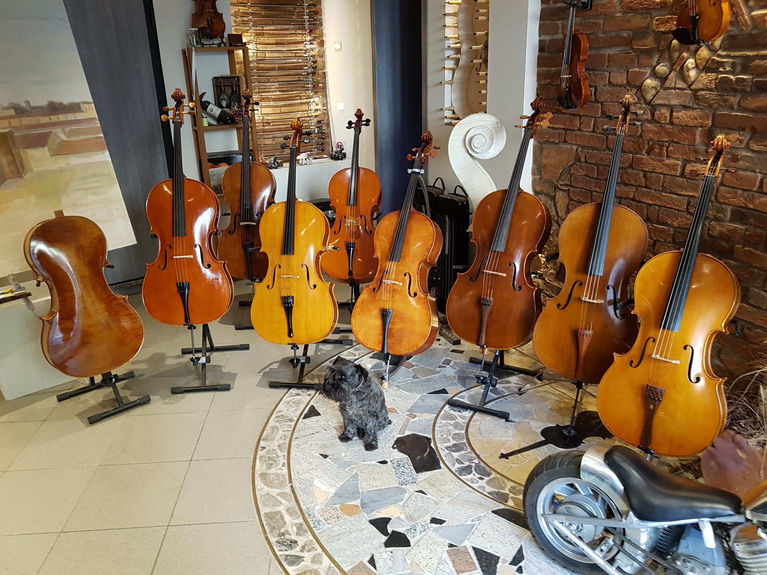 Scopri di più sull'articolo Il violoncello: guida alla scelta