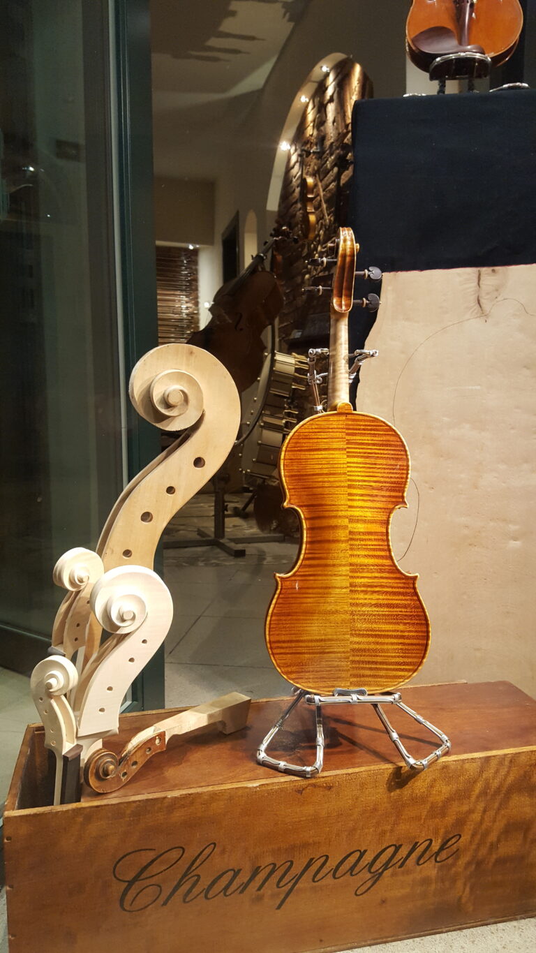 Scopri di più sull'articolo La Famiglia del violino