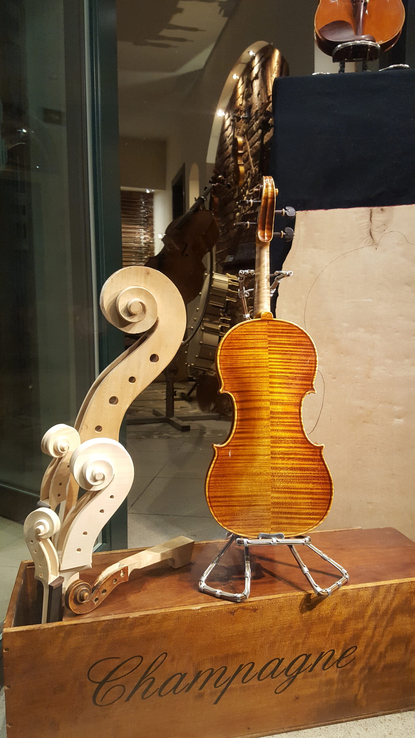 Scopri di più sull'articolo La Famiglia del violino